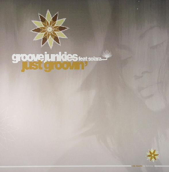 Groove Junkies - Just Groovin'
