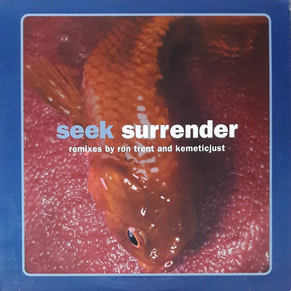 Seek - Surrender