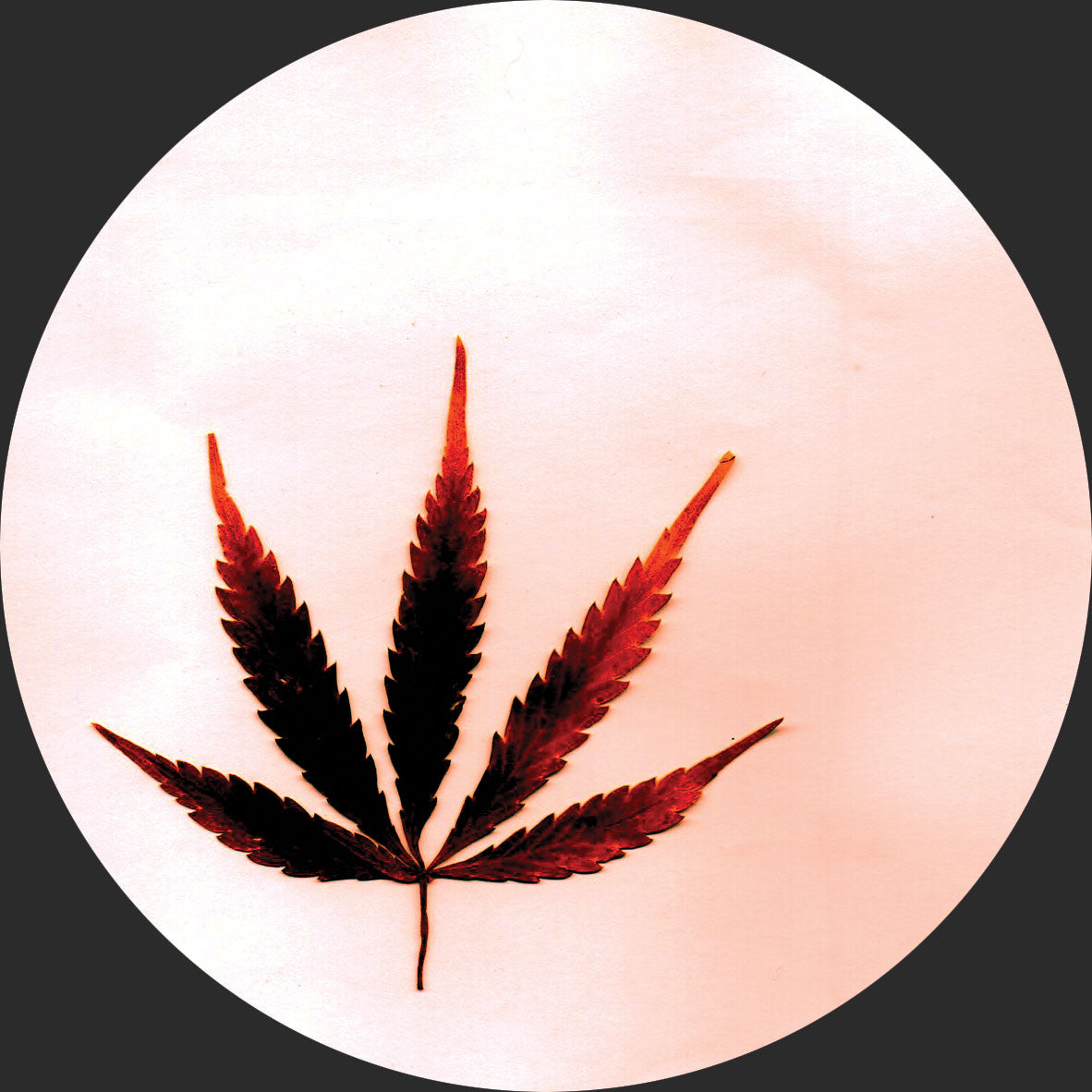 Track cover