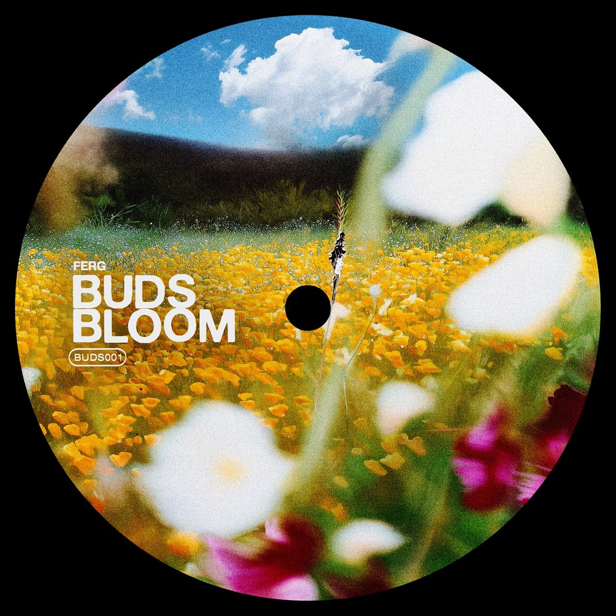 Track cover