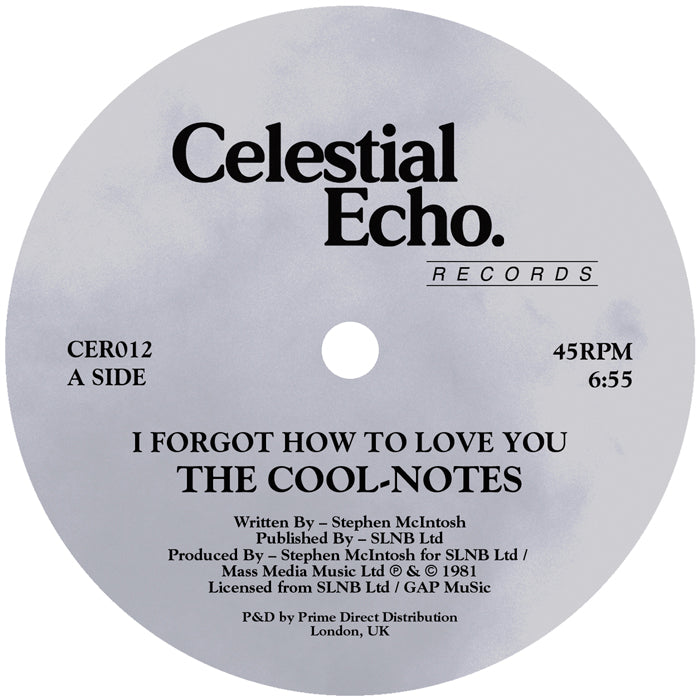 The COOL NOTES - I Forgot How To Love You