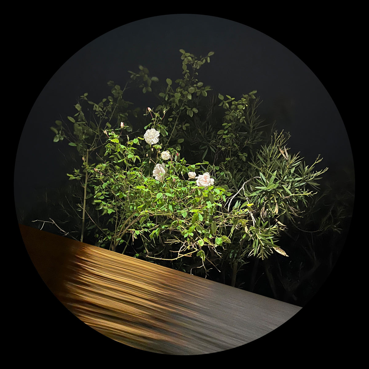 Track cover