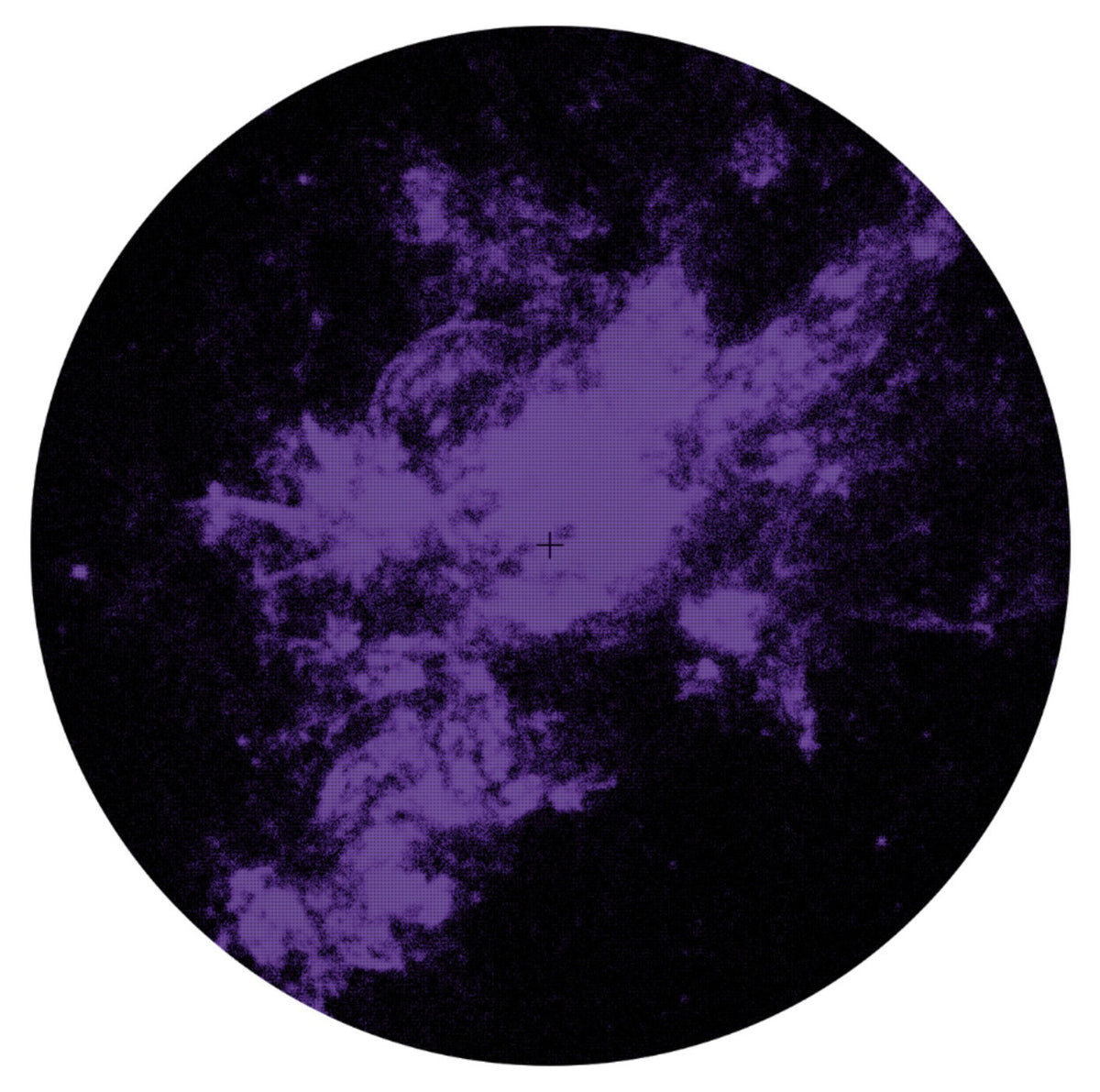 Track cover