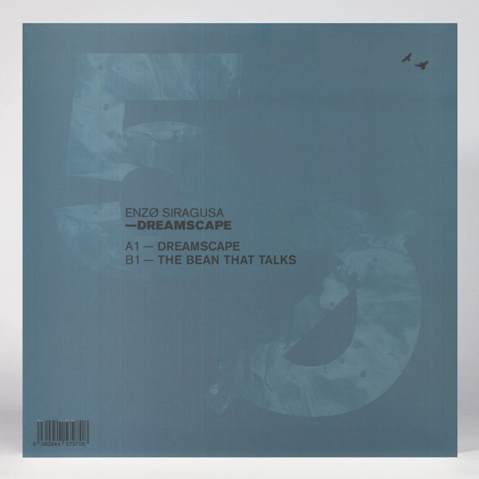 Enzo Siragusa - Dreamscape