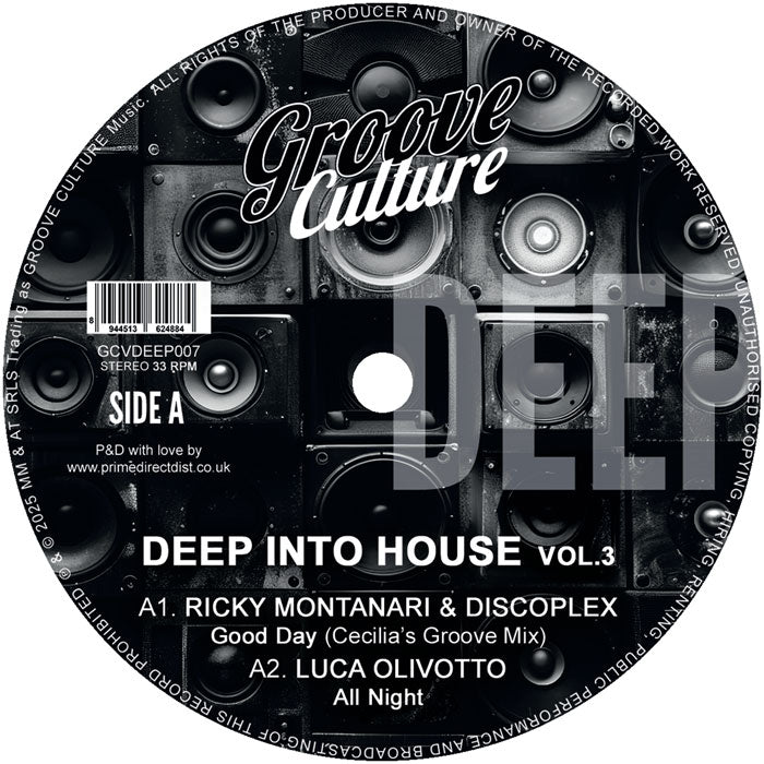 Ricky Montanari & Discoplex - Deep Into House Vol.3