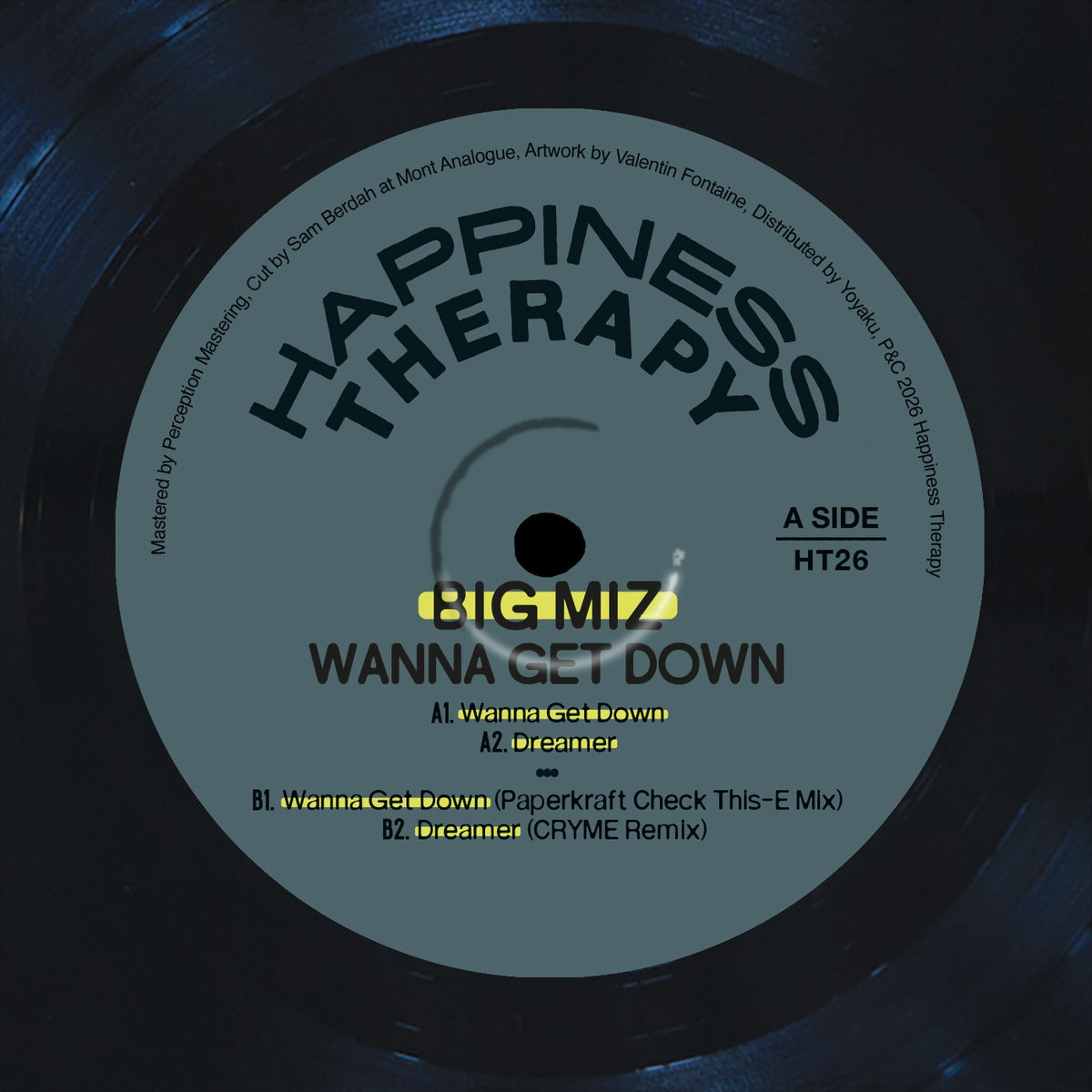 Track cover