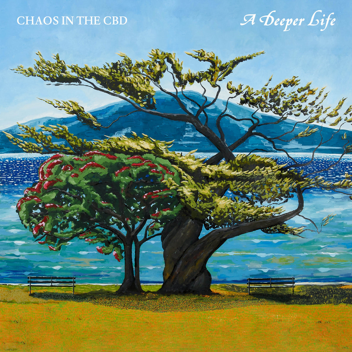 Track cover