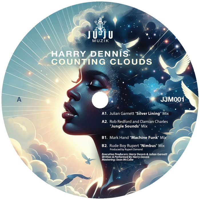 Track cover
