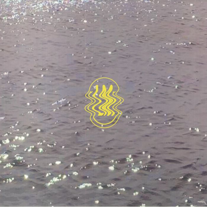 Track cover