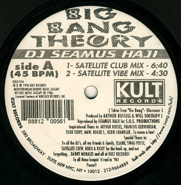 Seamus Haji - Big Bang Theory
