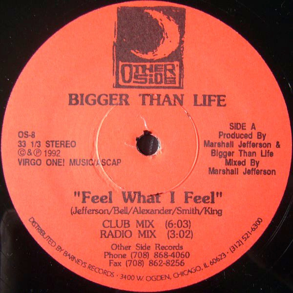 Bigger Than Life - Feel What I Feel