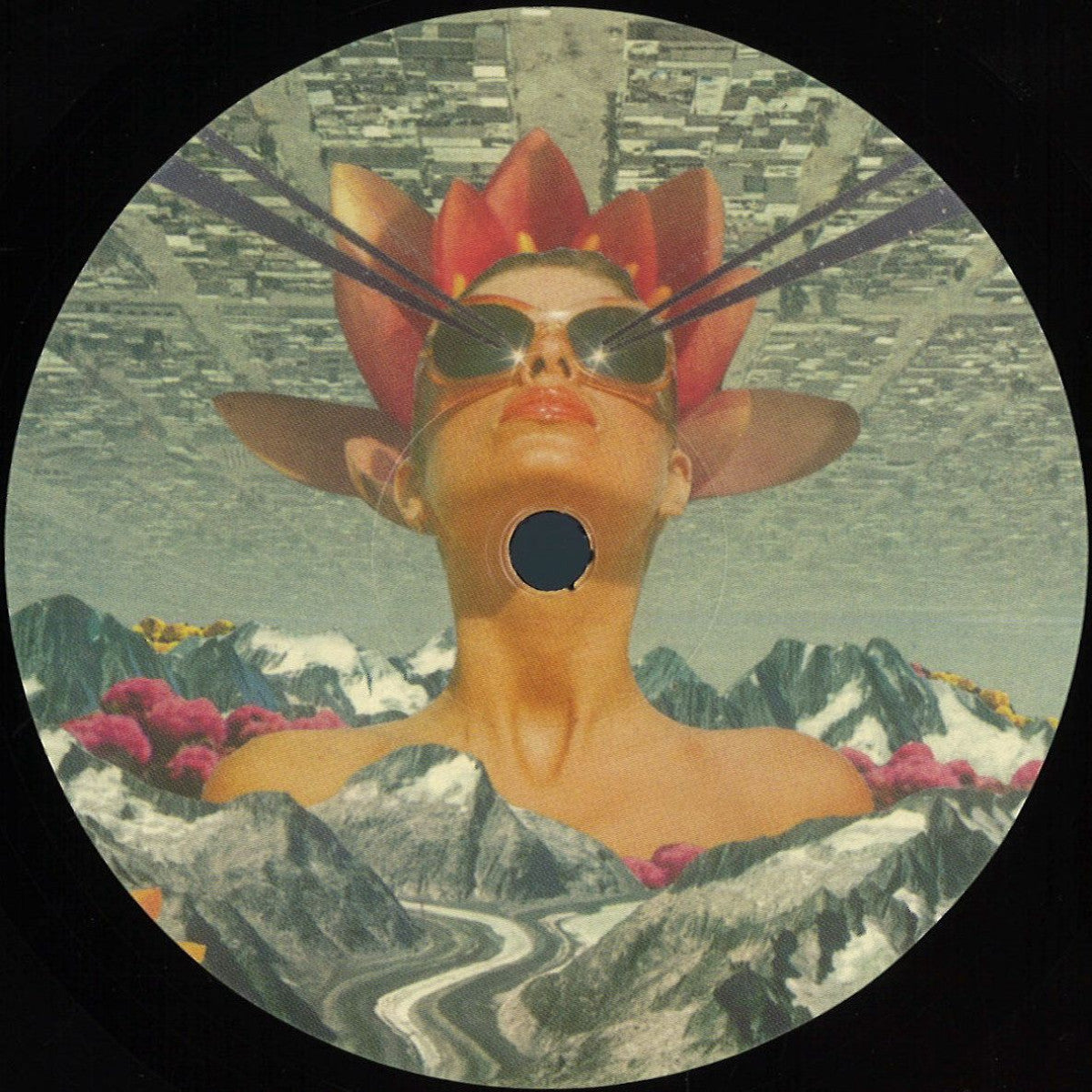 Track cover