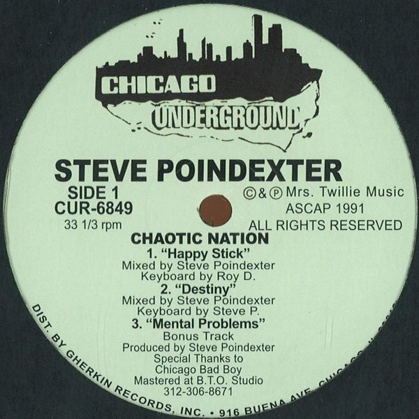 Steve Poindexter - Chaotic Nation