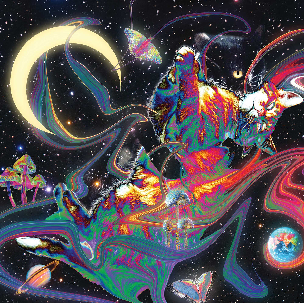 Track cover