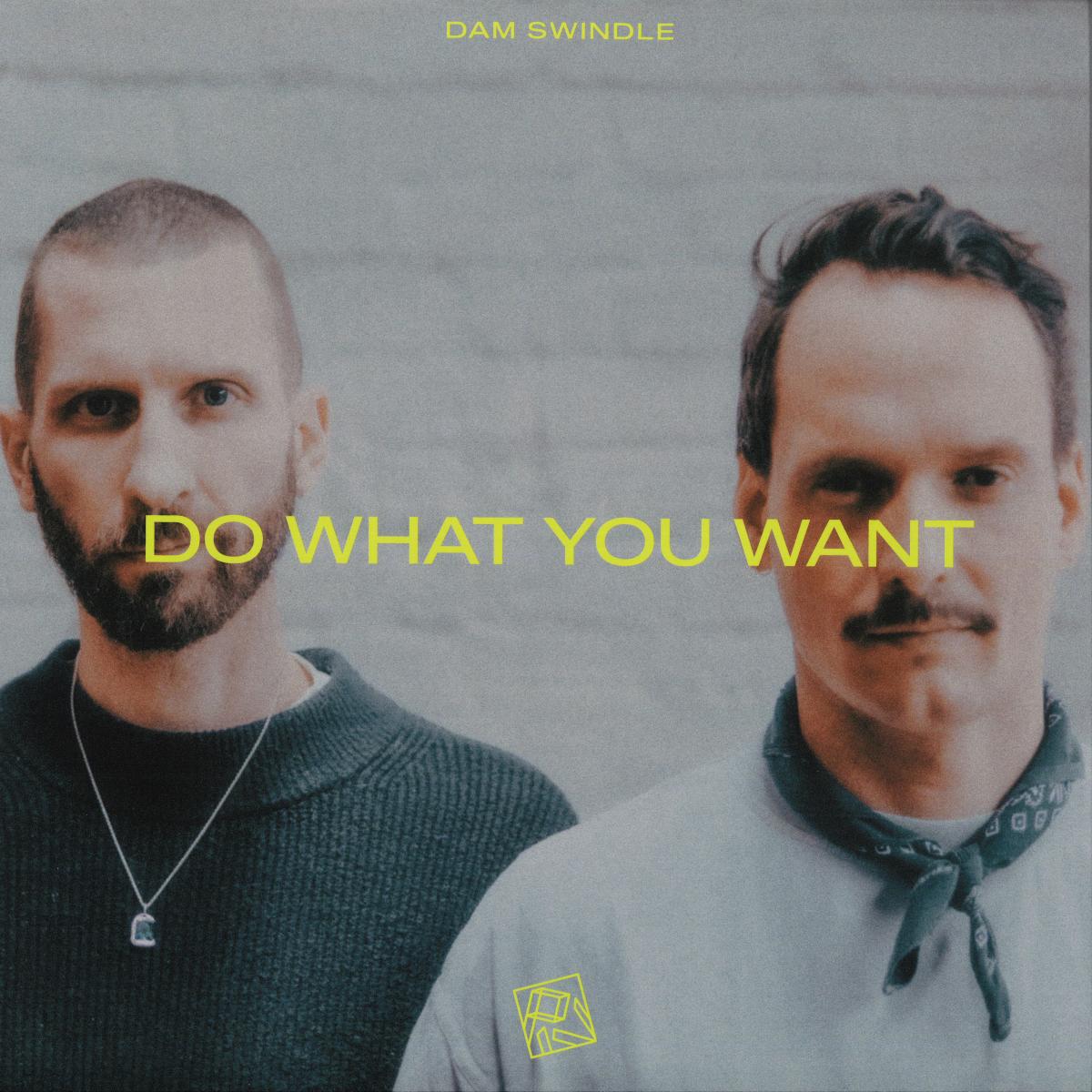 Dam Swindle - Do What You Want