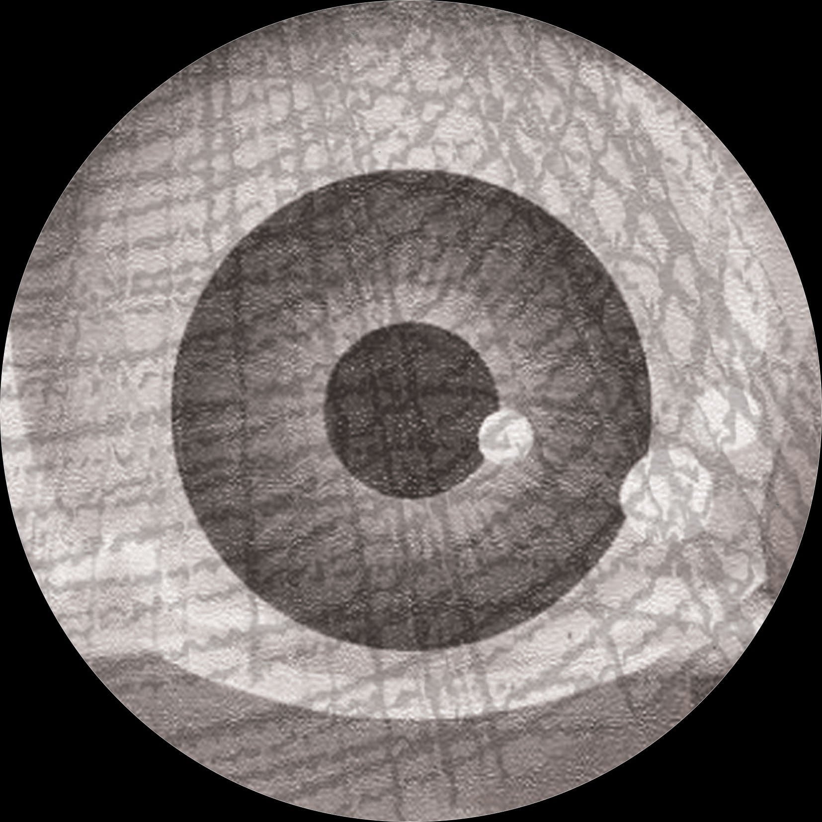 Viewfinder - The Second Phase