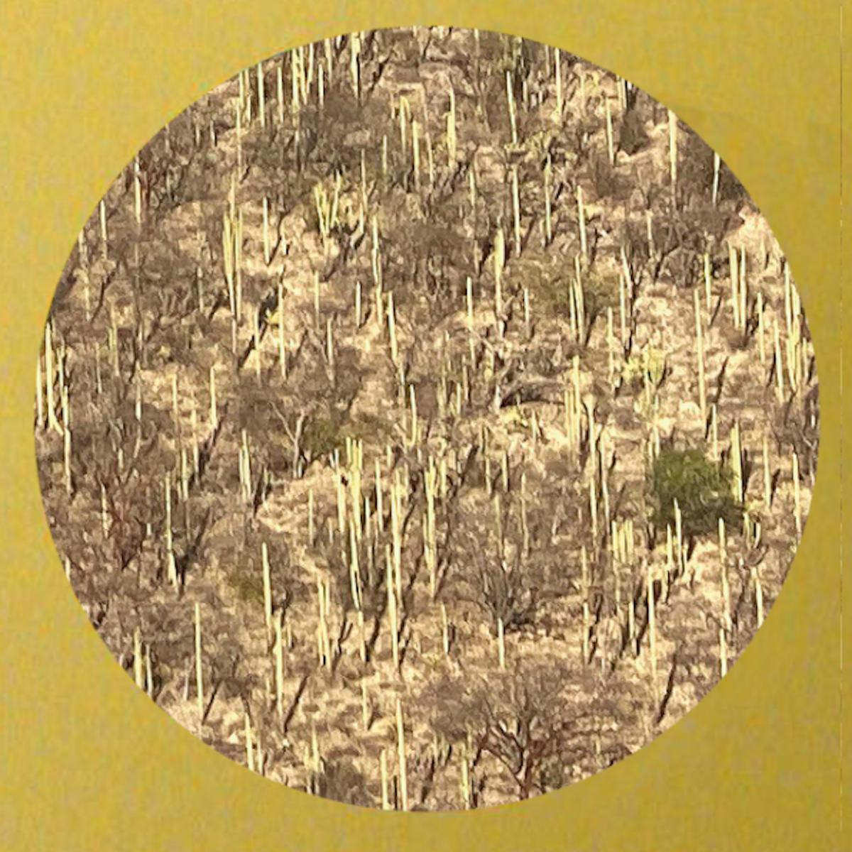 Track cover
