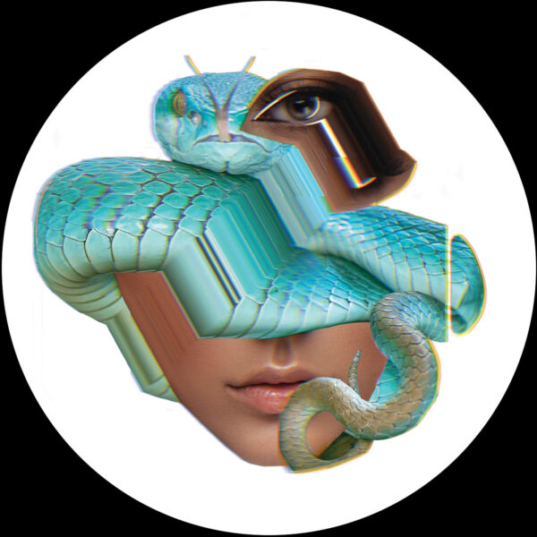 Track cover