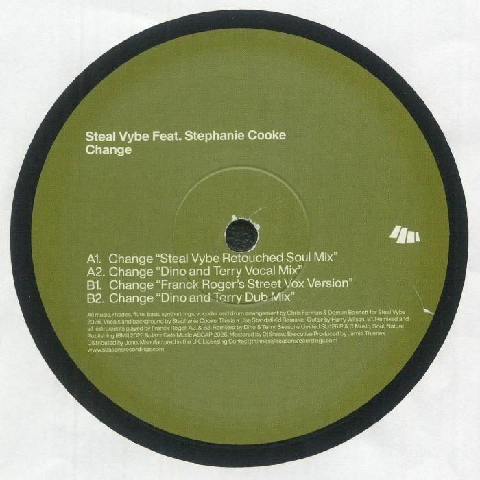 Steal Vybe Feat Stephanie Cooke - Change
