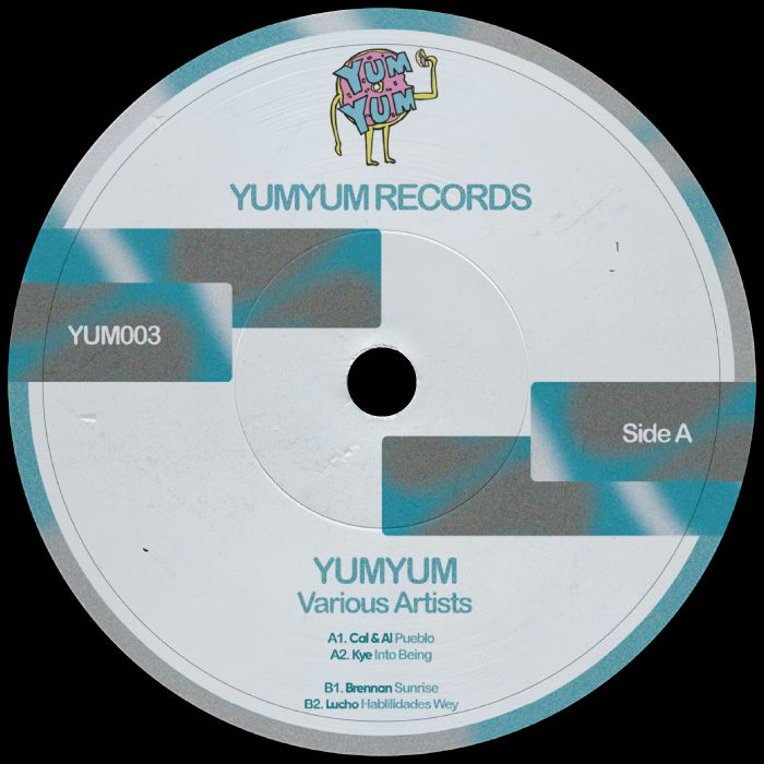 Track cover