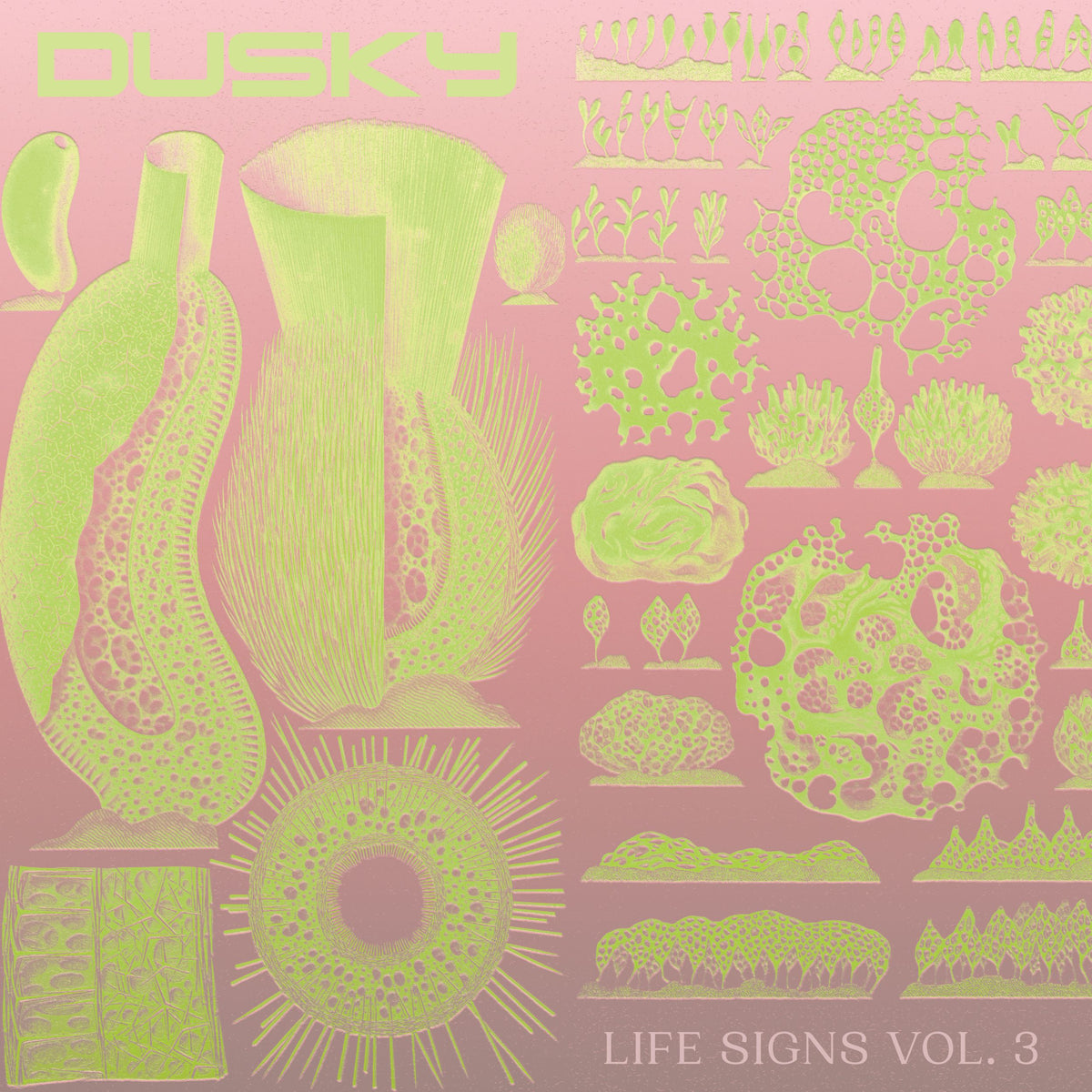 Track cover